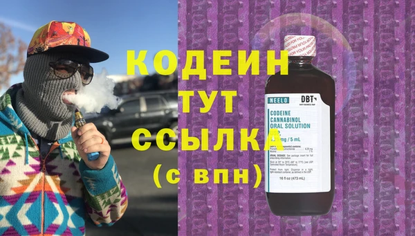 гашик Аркадак