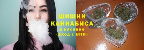 гашик Аркадак