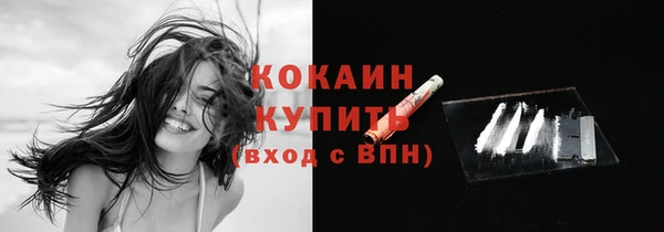 гашик Аркадак