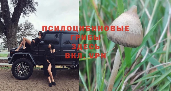 гашик Аркадак