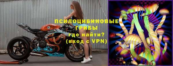 гашик Аркадак