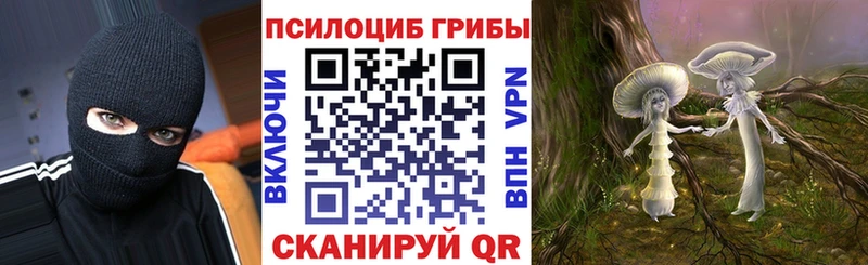Галлюциногенные грибы ЛСД  Новоалександровск 